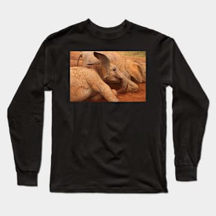 Baby Elephants Playtime Long Sleeve T-Shirt